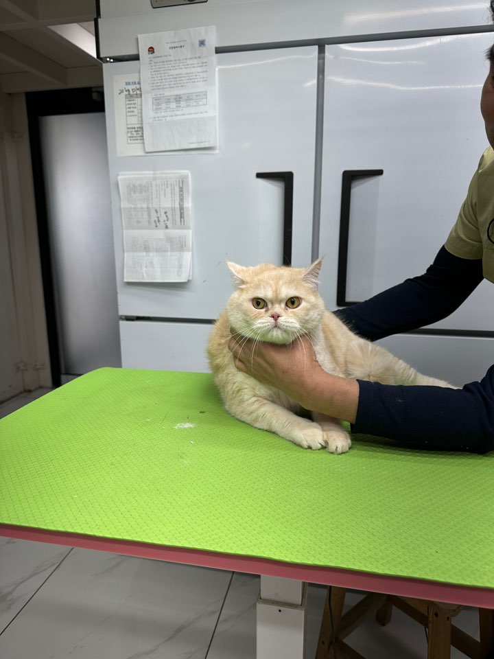 신공항동물병원_428349202401109