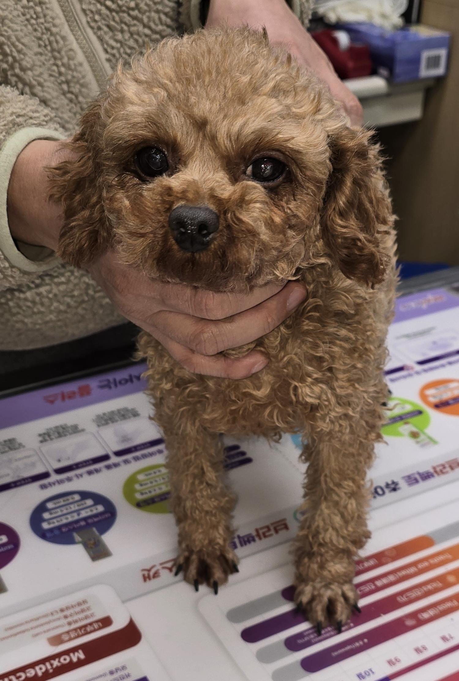 베스트동물병원_428357202401616