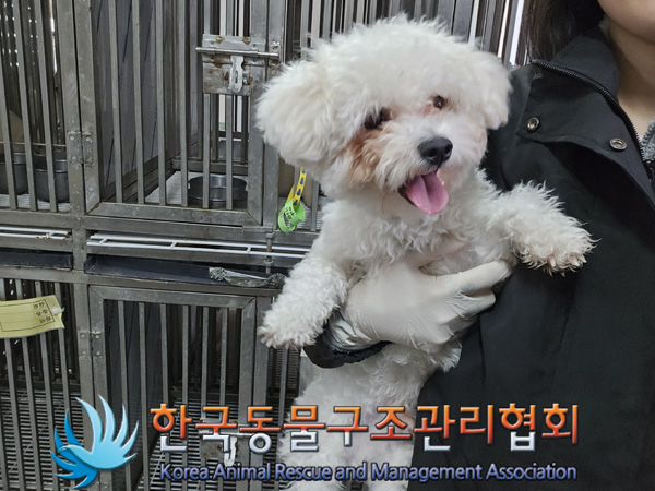 한국동물구조관리협회_411316202400903
