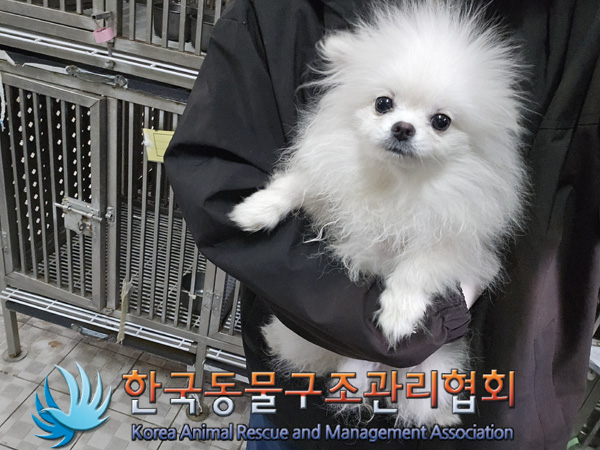 한국동물구조관리협회_411315202400673