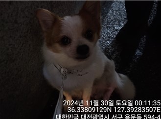 대전동물보호센터_430366202400731