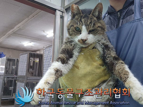 한국동물구조관리협회_411317202400475