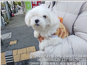 대전동물보호센터_430366202400730