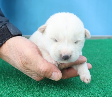 제주 동물보호센터_450650202403575