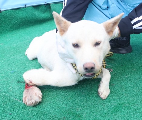 제주 동물보호센터_450650202403574