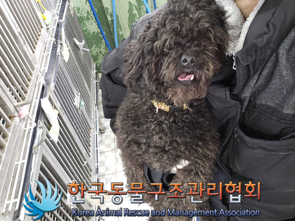 한국동물구조관리협회_441382202400830