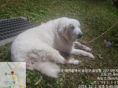 대전동물보호센터_430367202400986