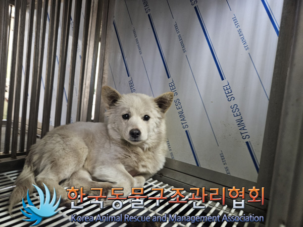 한국동물구조관리협회_441559202401394