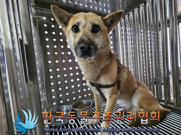 한국동물구조관리협회_441559202401397