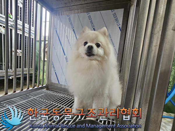 한국동물구조관리협회_411322202400938