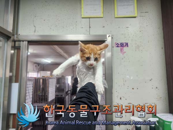 한국동물구조관리협회_411318202400546