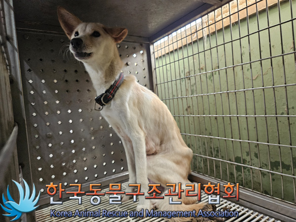 한국동물구조관리협회_441560202401416
