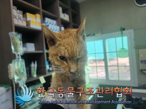 한국동물구조관리협회_411310202400677