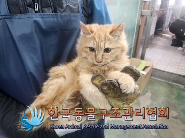 한국동물구조관리협회_411311202401018