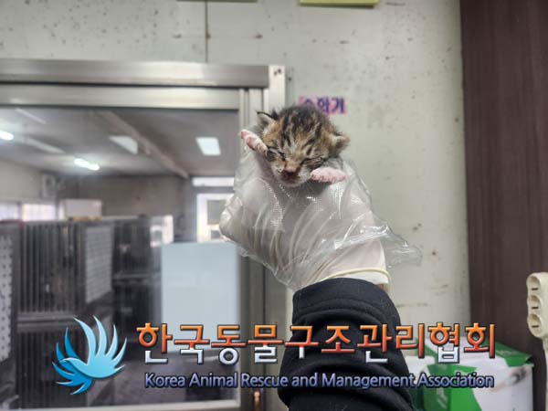 한국동물구조관리협회_411309202400478