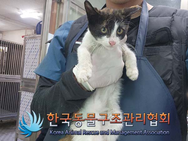 한국동물구조관리협회_441398202400590