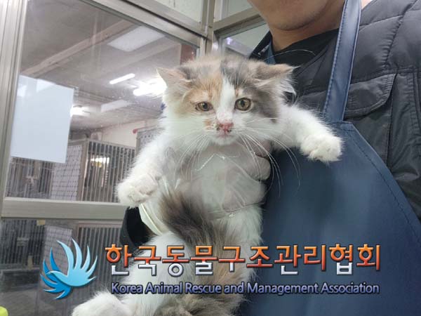 한국동물구조관리협회_441409202401918
