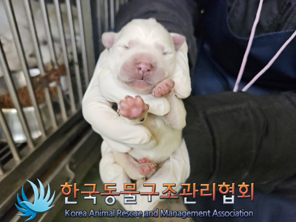 한국동물구조관리협회_441409202401922