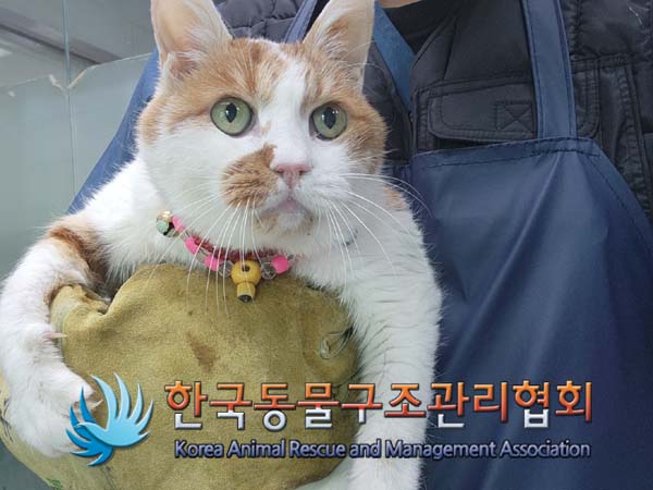 한국동물구조관리협회_441560202401420