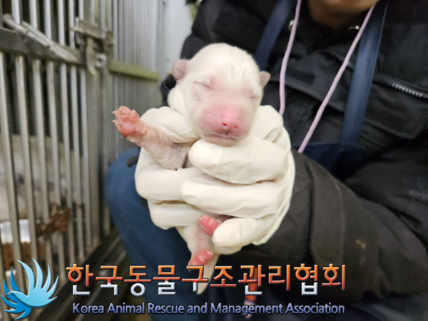 한국동물구조관리협회_441409202401920