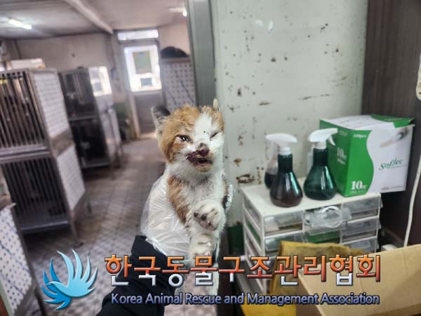 한국동물구조관리협회_441560202401421