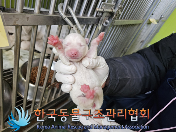 한국동물구조관리협회_441409202401921