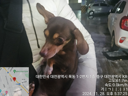대전동물보호센터_430365202400600