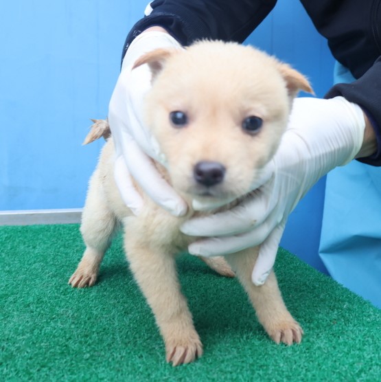 제주 동물보호센터_450650202403589