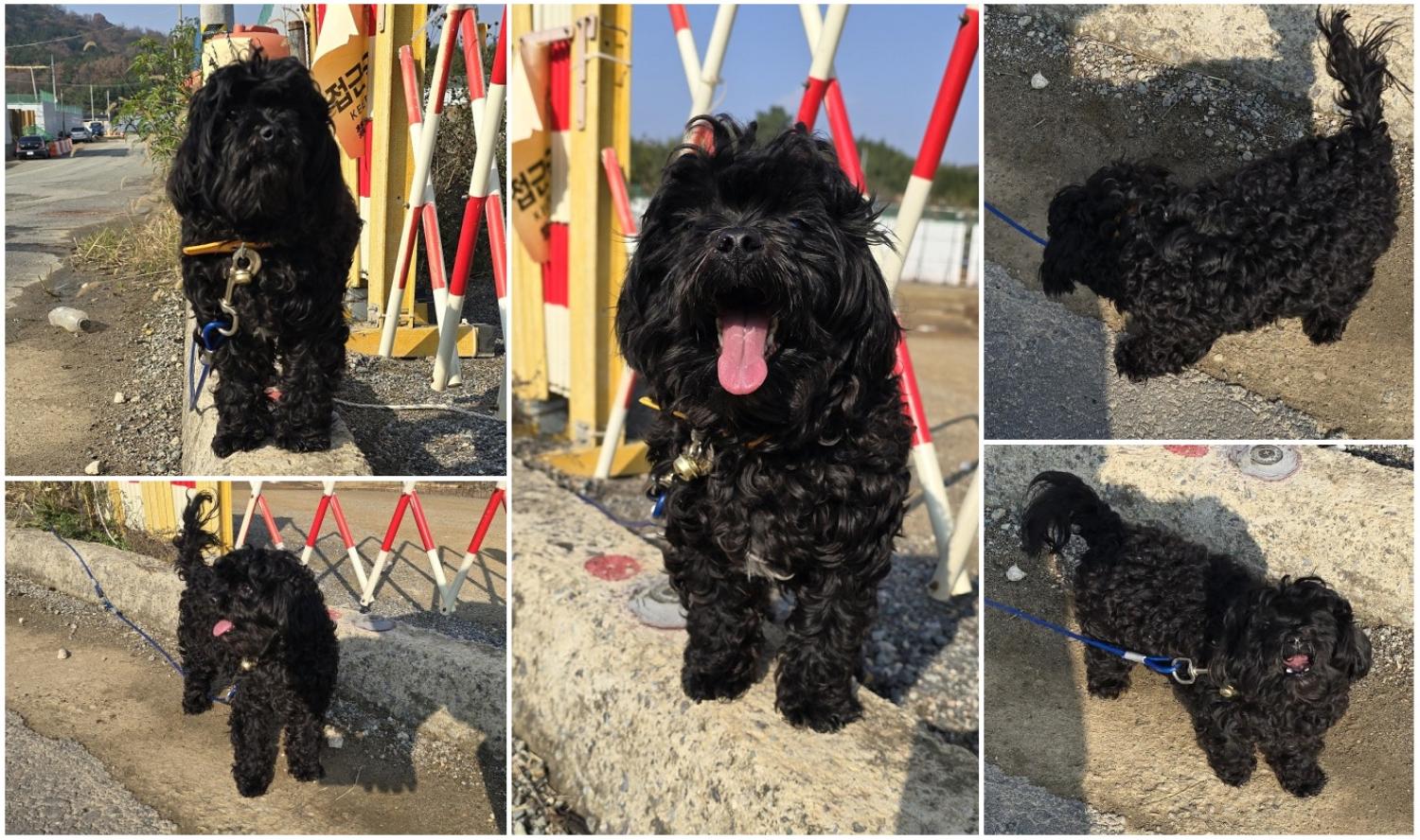 무안군유기동물보호소_446495202400544