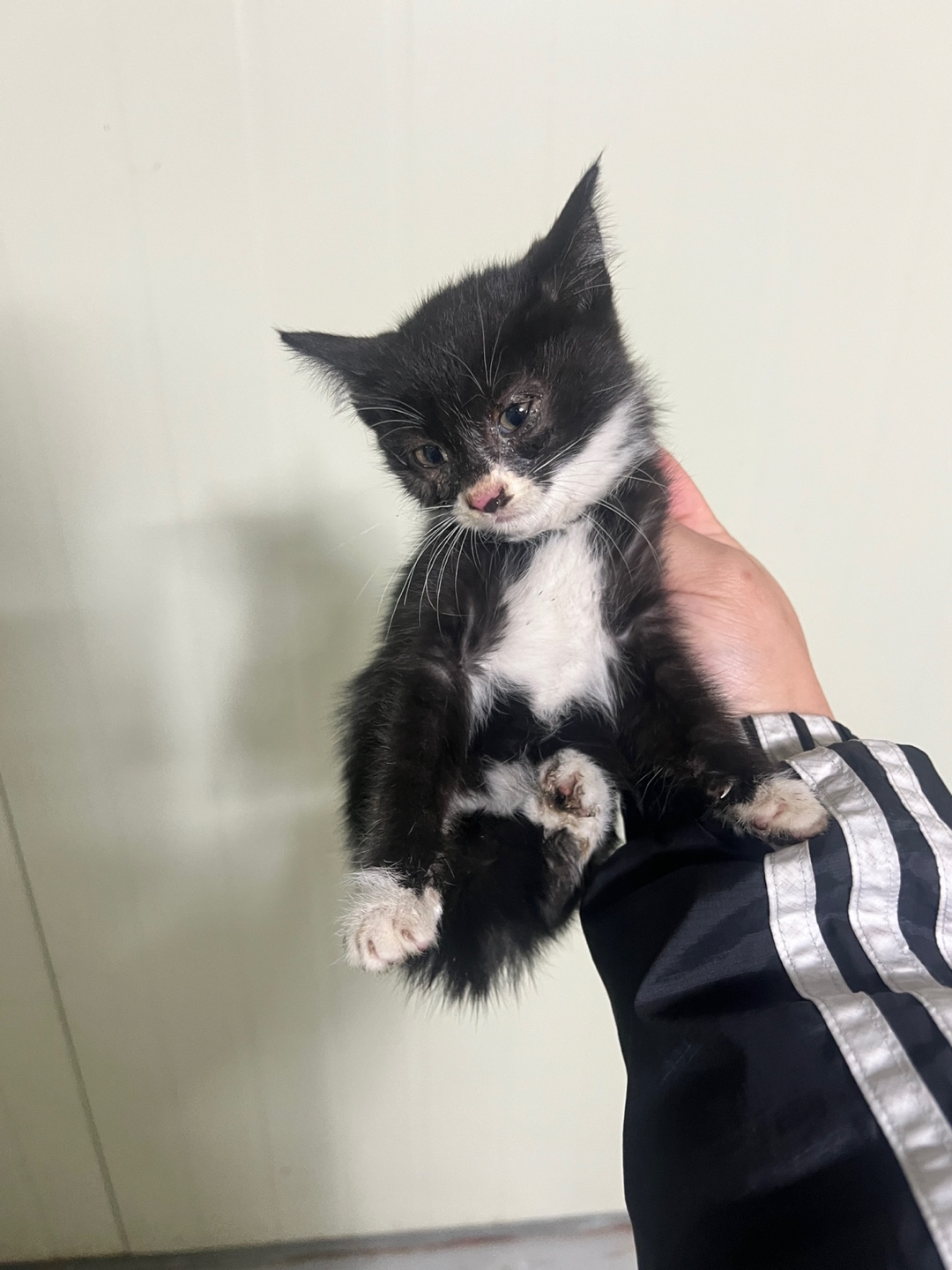 종료(자연사) 한국…