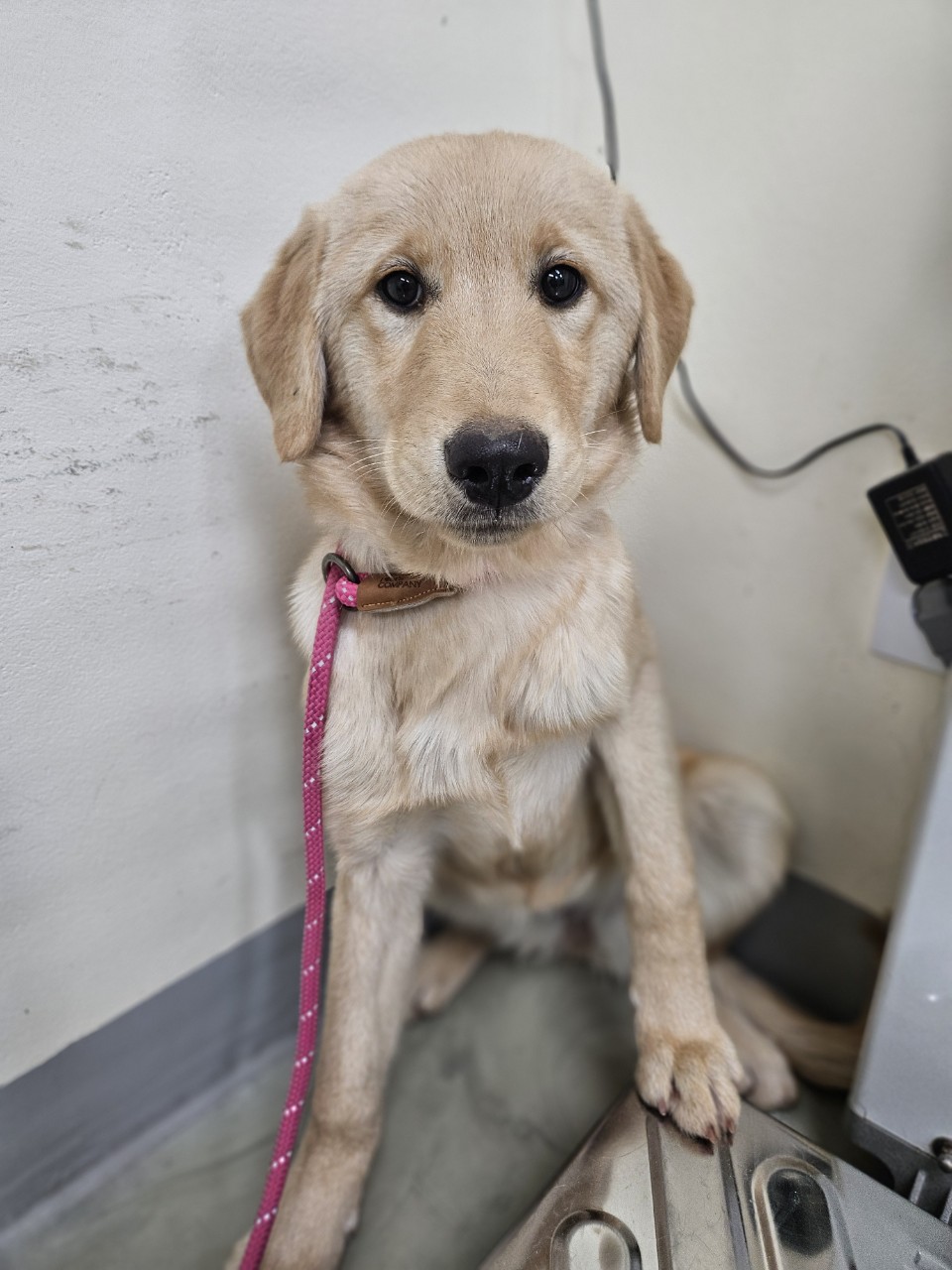 아산동물복지지원센터_444452202402430