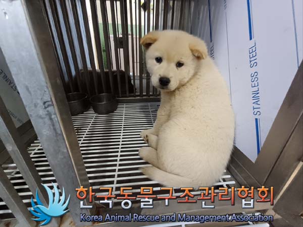 한국동물구조관리협회_441414202401014