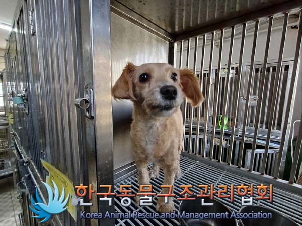 한국동물구조관리협회_411309202400479