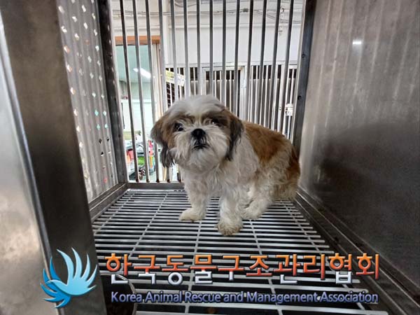 한국동물구조관리협회_411316202400913