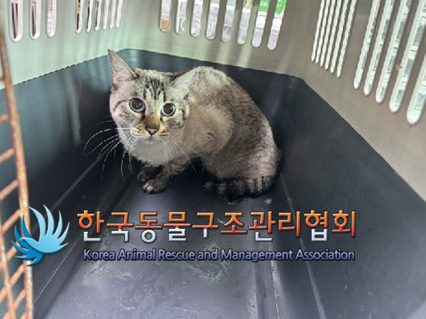 한국동물구조관리협회_441382202400832
