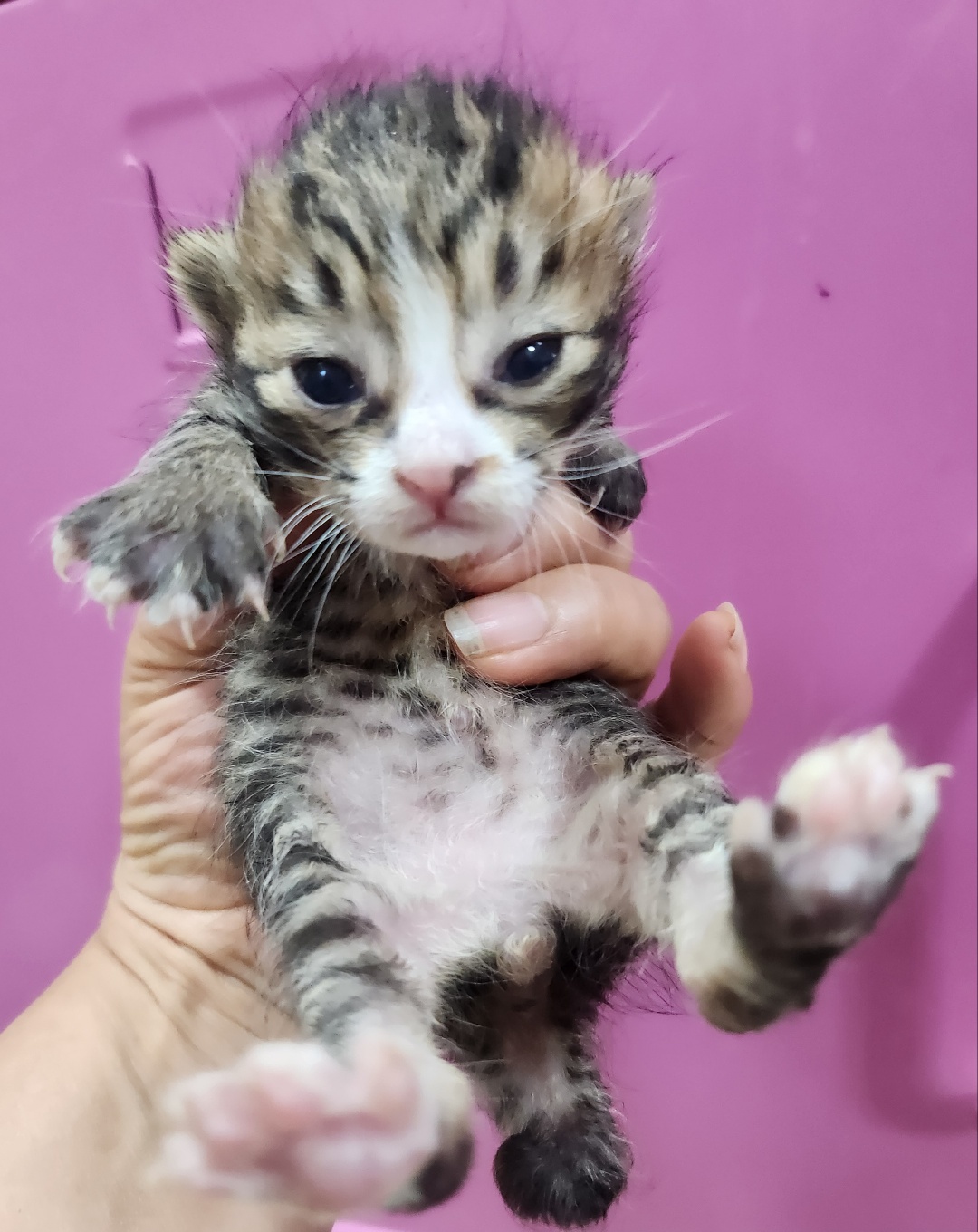 울산유기동물보호센터_431372202400692