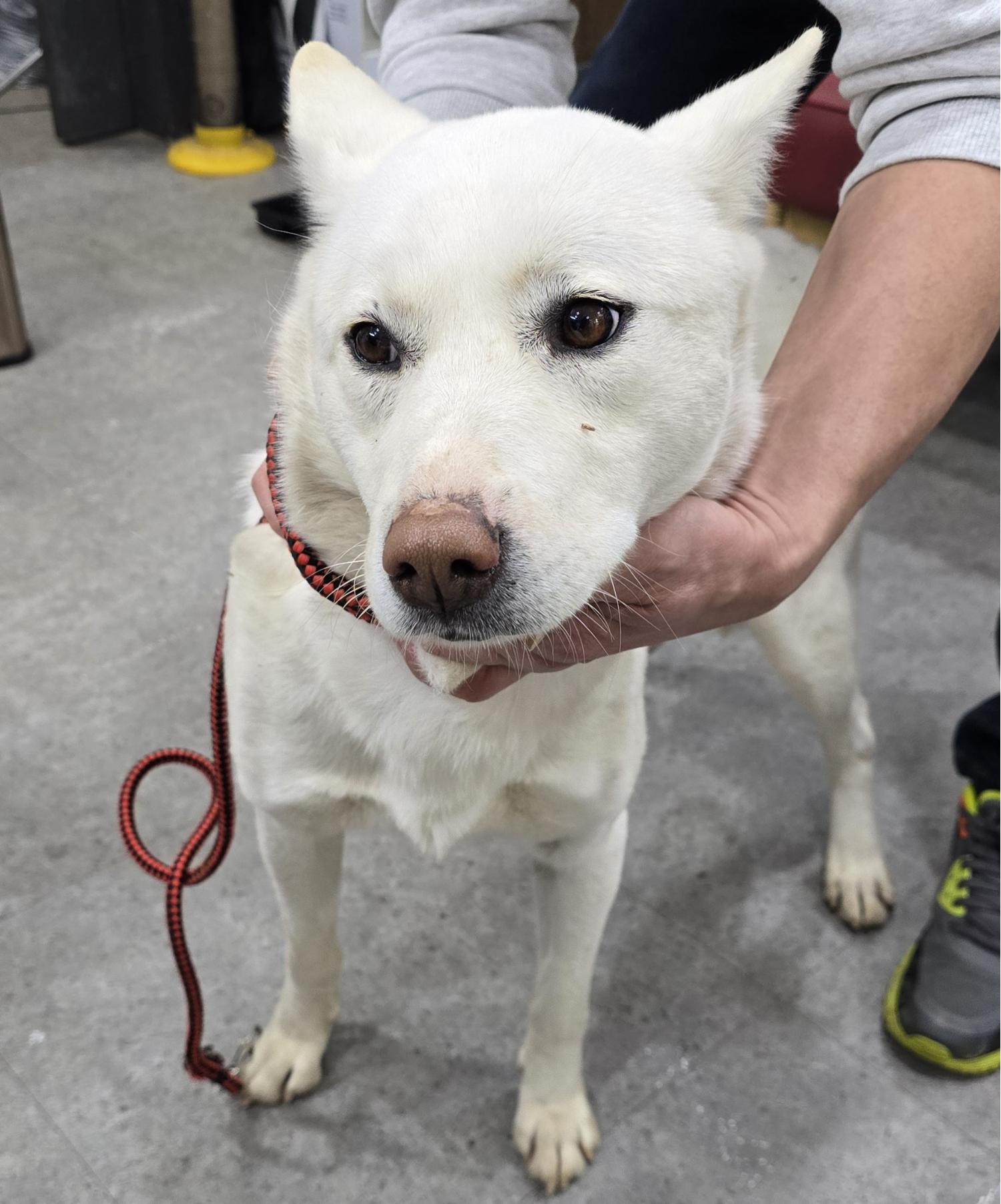 베스트동물병원_428357202401692