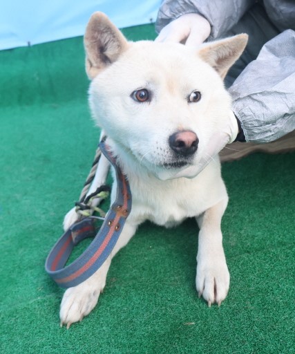 제주 동물보호센터_450650202403608