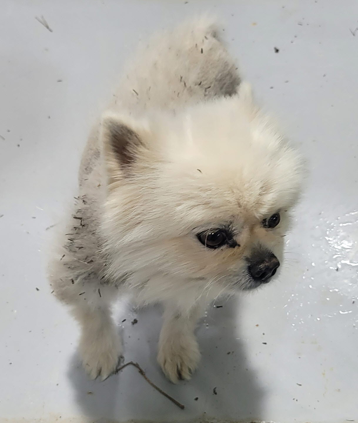울진군동물보호센터_447525202400560