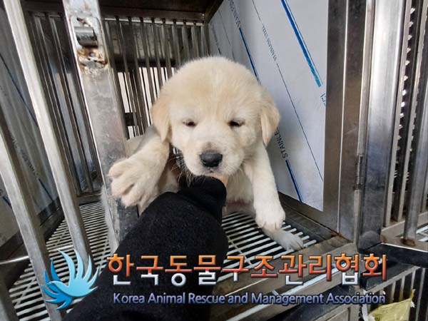 한국동물구조관리협회_441409202401930