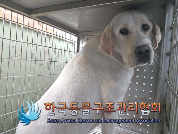 한국동물구조관리협회_441560202401424