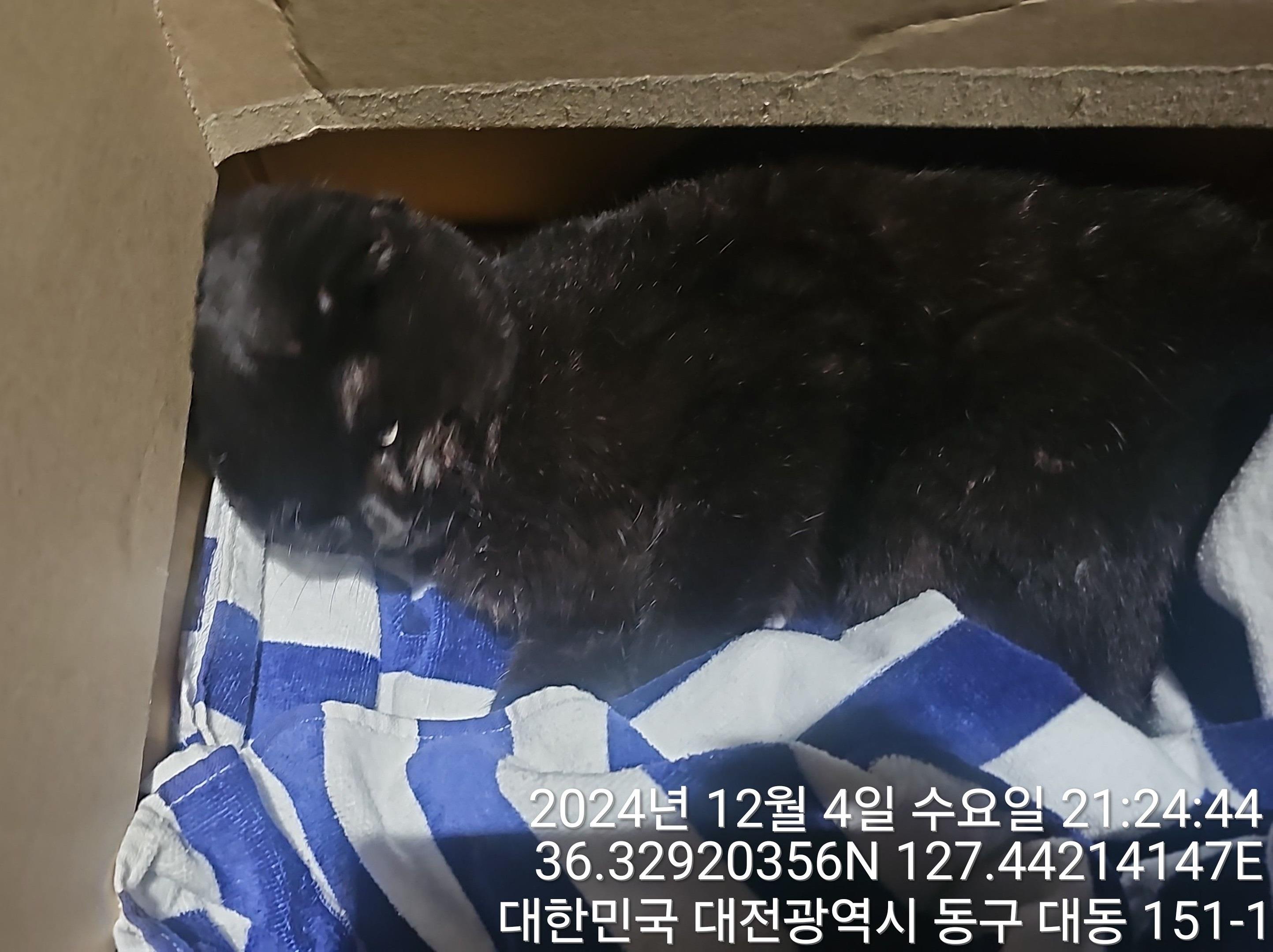 종료(자연사) 스코…