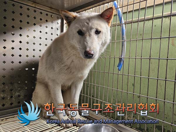 한국동물구조관리협회_411310202400679