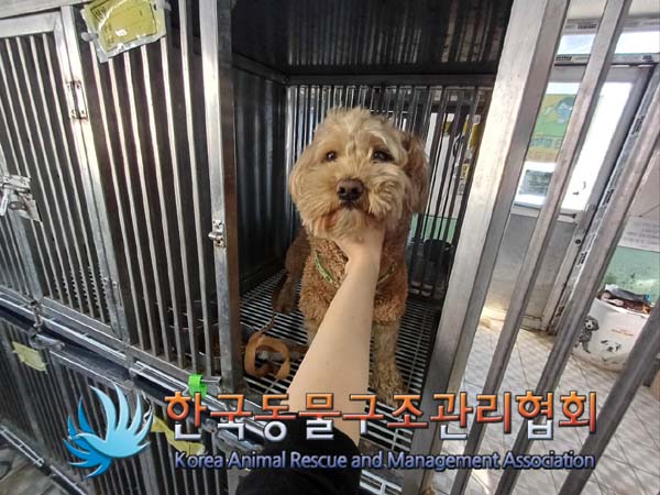 한국동물구조관리협회_441392202400295