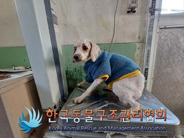 한국동물구조관리협회_411316202400914