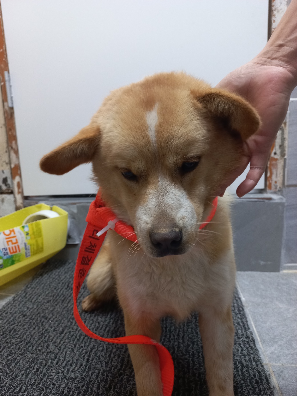 이성준동물병원_441408202401766