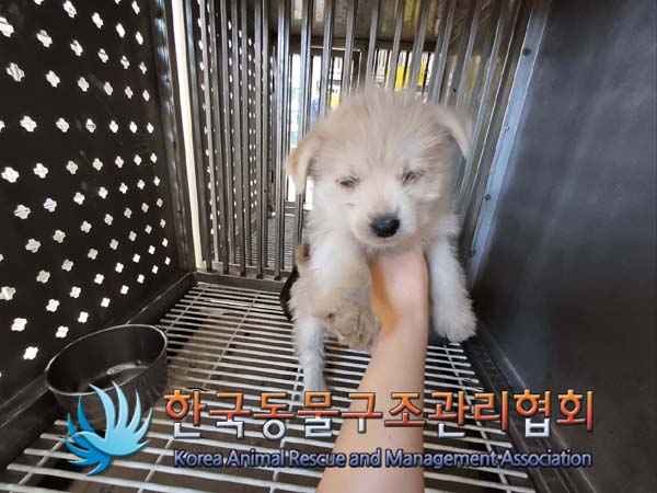 한국동물구조관리협회_441406202402180