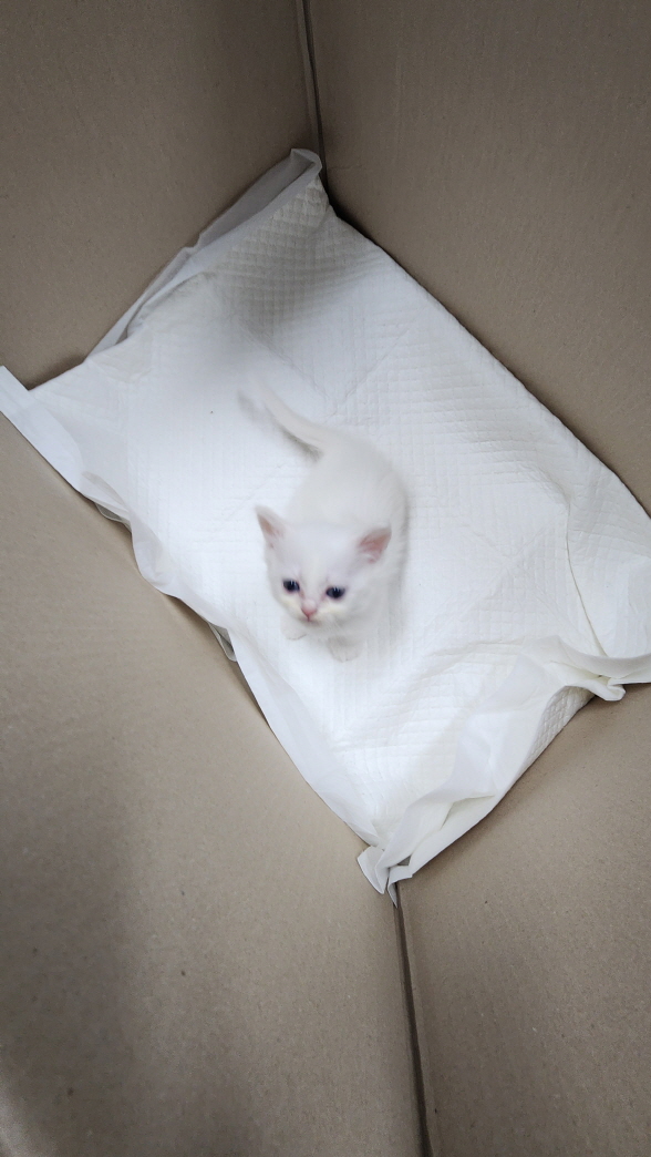 익산유기동물보호소_445468202403124