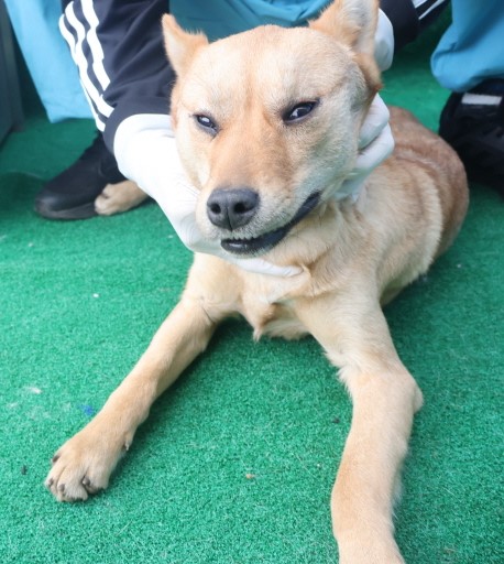 제주 동물보호센터_450650202403623