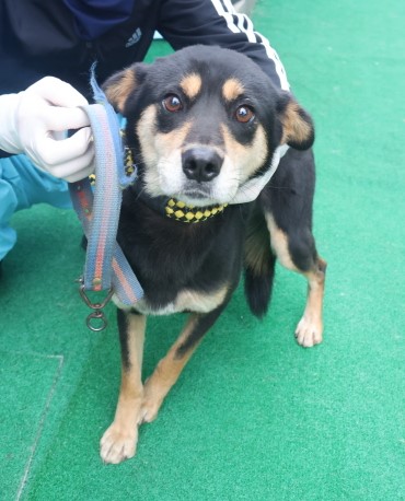 제주 동물보호센터_450650202403629